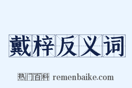 戴梓反义词是什么意思的图片